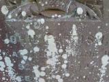 image of grave number 345029